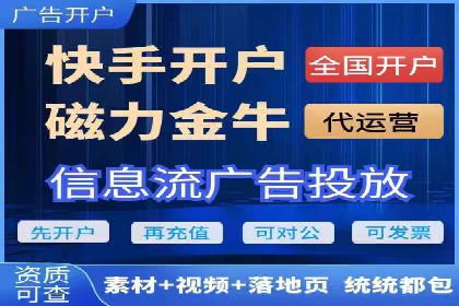 案例分析：高效信息流广告投放策略